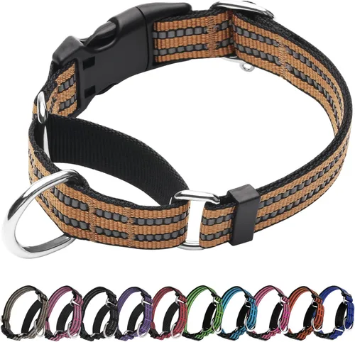 Miniatura 13 de Martingale - Collar para perro, collar reflectante ajustable de nailon con hebilla de liberación rápida (rosa intenso, talla L)