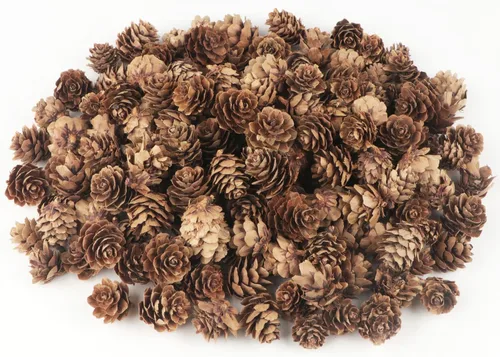 Jangostor 120 piezas de conos de pino, conos de pino naturales a granel, mini conos de pino de Navidad para mesa, árbol de Navidad, manualidades,