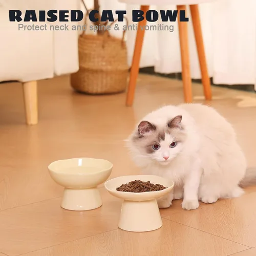 Miniatura 4 de Cuencos elevados para gatos de 6.1 pulgadas de ancho y 1.57 pulgadas de profundidad, cuencos de agua de cerámica para gatos de cara plana, comedero