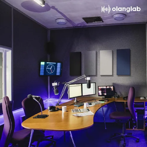 Miniatura 7 de Olanglab Paneles de Pared Acústicos de Fibra de Vidrio Paquete de 4, 11.8'' x 23.6'' Paneles de Sonido, Paneles Insonorizantes Envueltos en Tela