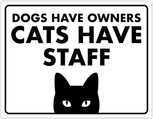 Miniatura 33 de Señal de Gato de 24 Horas de Vigilancia Felina de Premises Under 24 Hour - Cartel de gato divertido, metal, 8 x 12 pulgadas, letreros de gato