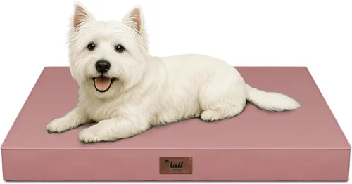 Miniatura 40 de Cama ortopédica de felpa para perros y cachorros medianos, camas impermeables para perros de 30 x 20 pulgadas con funda extraíble lavable, tapete