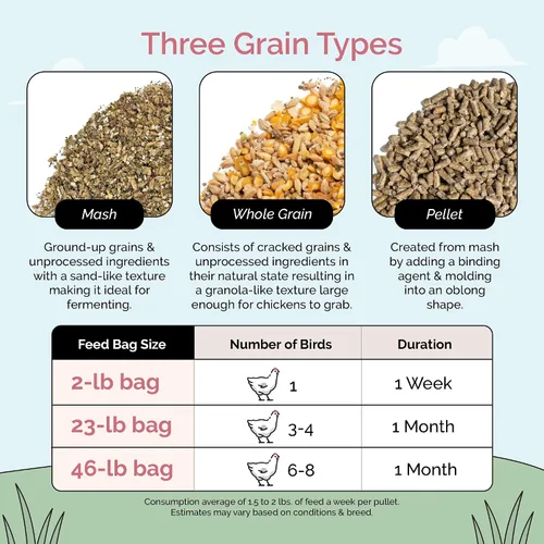 Miniatura 7 de Mile Four Alimento orgánico para pollo: capa de grano entero, sin OMG, cultivado en EE. UU., 16% de proteínas, sin maíz, sin soja, alimento