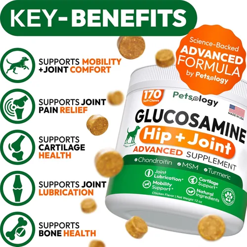 Miniatura 2 de Glucosamina para perros - Suplemento de cadera y articulaciones para perros - 170 masticables de movilidad - Glucosamina condroitina - MSM - Cúrcuma