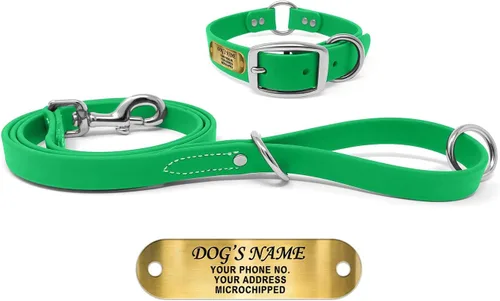 Miniatura 14 de Regal Dog Products Collar de Perro Naranja Mediano con Placa de Nombre Grabada Personalizada - Ajuste Personalizado, Resistente, Fácil de Limpiar