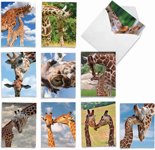 Miniatura 12 de The Best Card Company - Tarjetas de animales en blanco en caja, 4 x 5.12 pulgadas, mascotas surtidas, zoológico, tarjetas de vida silvestre
