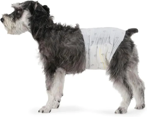 Amazon Basics Pañales para perros machos, 30 unidades, medianos, ultra absorbentes, desechables, con ajuste seguro, a prueba de fugas y cómodos