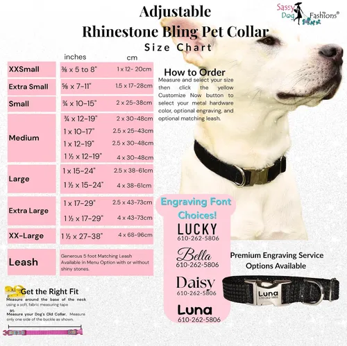 Miniatura 7 de Collar de perro con diamantes de imitación, hebilla grabada y opciones de correa, collares de perro brillantes a la moda, joyas brillantes