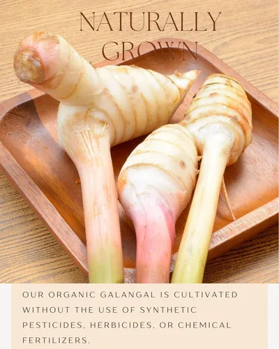 Miniatura 4 de Polvo de galanga orgánico de 4 onzas – Condimento de especias Galanga en cocina asiática – para cocina tailandesa, indonesia y malaya