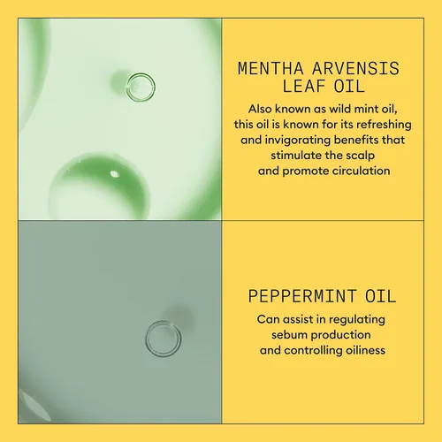 Miniatura 7 de Nioxin Sistema 1, acondicionador de terapia, con aceite de menta, trata el cuero cabelludo sensible y proporciona humedad, para cabello natural