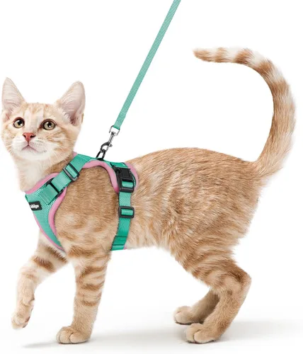 Miniatura 25 de rabbitgoo Juego de arnés y correa para gatos, arnés a prueba de escapes para paseos seguros al aire libre, chaleco suave transpirable ajustable