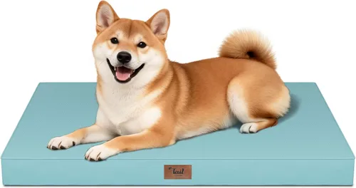Miniatura 120 de Cama ortopédica de felpa para perros y cachorros medianos, camas impermeables para perros de 30 x 20 pulgadas con funda extraíble lavable, tapete