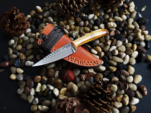 Miniatura 8 de Cuchillo de despellejado Titan International Knives TC-30 de acero Carbono 1080 Cuchillo de utilidad hecho a mano EDC Hoja fija