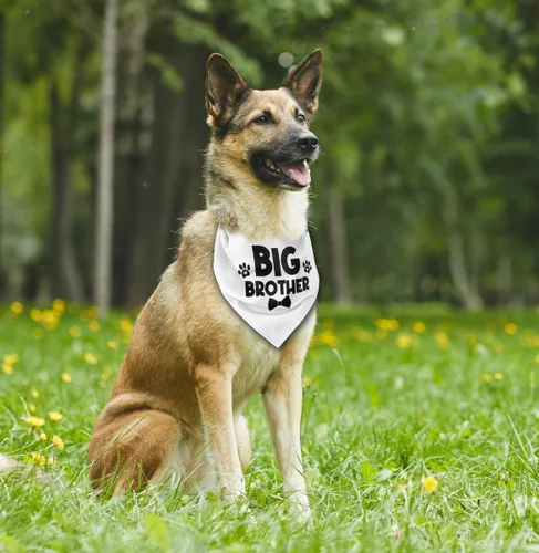 Miniatura 3 de Bandana para perro, bandana para perro de hermano mayor, silenciador clásico de impresión blanca, bufanda para mascotas, bufanda para mascotas