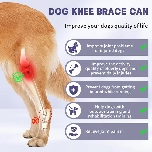 Miniatura 4 de Rodillera para perros para todas las piernas, rodillera ajustable para perros desgarrados en la pierna trasera, mantiene las articulaciones