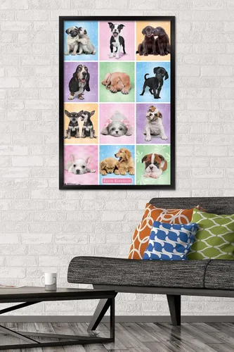 Miniatura 2 de Trends International Póster de pared Puppies Cuties, 22.375 x 34 Versión con marco negro