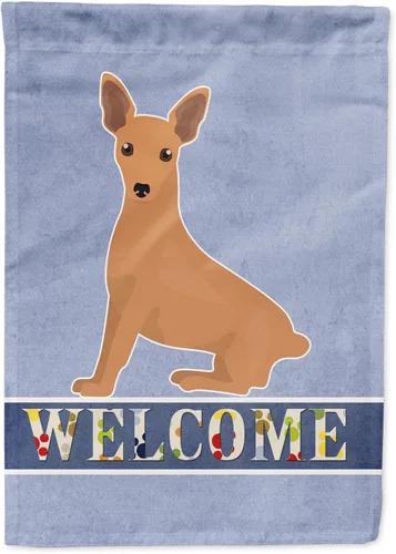 Miniatura 64 de Caroline's Treasures CK3647CHF - Bandera de bienvenida con diseño de bulldog francés, manga grande, para porche, para colgar en la pared, poliéster