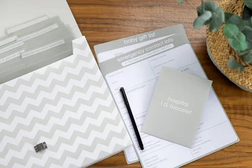 Miniatura 8 de Pearhead Organizador de documentos de bebé, maletín para almacenar registros del bebé, es un gran regalo para los nuevos padres o adición al