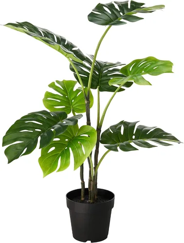 Miniatura 3 de PowerGrow - Fertilizante para plantas de interior – Fórmula completa de liberación lenta + micro nutrientes – Alimenta plantas de interior durante 8