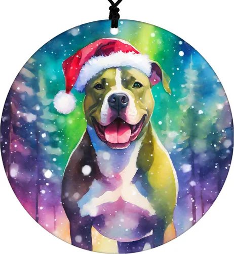 Miniatura 7 de Adorno de Navidad de Pitbull - Adorno colgante deportivo para el hogar con diseño temático de béisbol - Adorno de disco acrílico 2025 para árbol