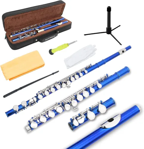 EASTROCK Flautas de agujero cerrado C de 16 teclas para principiantes, niños, estudiantes, flauta de níquel plateado con soporte para estuche y kit
