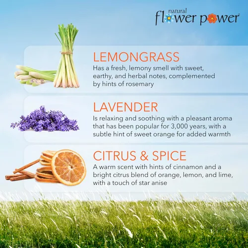 Miniatura 3 de Natural Flower Power Ambientador en aerosol – Eliminador de olores con aceites esenciales para el hogar, automóvil y tela – Libre de crueldad animal