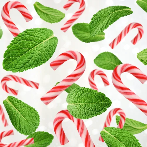 Miniatura 8 de Paquete de 220 mini bastones de caramelo a granel envueltos individualmente, pequeños bastones de caramelo de menta con sabor natural rojo y blanco