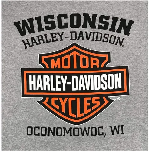 Miniatura 2 de Harley-Davidson Sudadera con capucha para hombre, Willie G Skull, gris 30296654