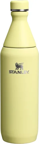 Miniatura 28 de Stanley All Day - Botella delgada de 20 onzas, tapa giratoria con sello a prueba de fugas, diseño delgado para viajes y gimnasio, acero inoxidable