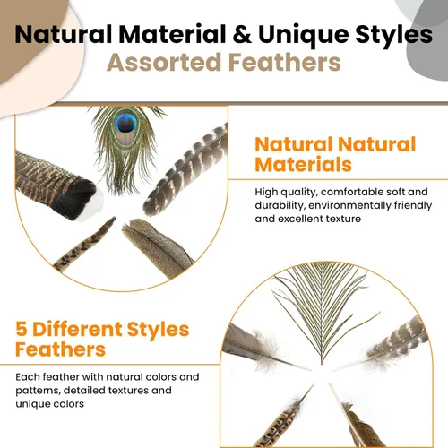 Miniatura 4 de MARRTEUM 5 estilos de plumas naturales de 10 a 12 pulgadas, 20 piezas de plumas grandes surtidas de pavo real de faisán y pavo real, decorativas a