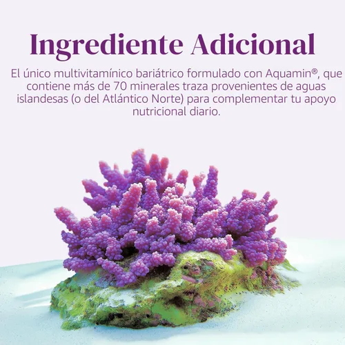 Miniatura 6 de BariMelts Multivitamínico bariátrico una vez al día con hierro, 60 comprimidos recubiertos fáciles de tragar (suministro para 2 meses)