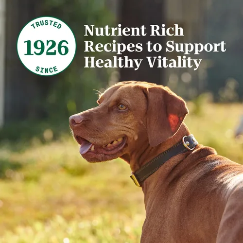 Miniatura 10 de Nutro Natural Choice - Alimento enlatado prémium para perros, comida húmeda para perros adultos, receta de carne de res, latas de 12.5 onzas
