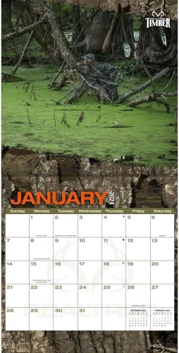 Miniatura 4 de TURNER LICENSING Realtree Hidden Hunter - Calendario de pared de 12 x 12 pulgadas (24998012062)