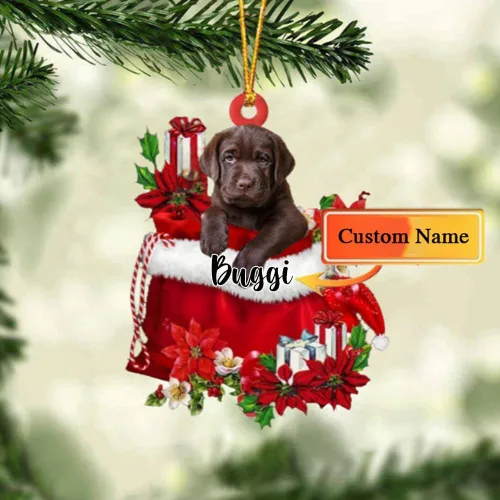 Miniatura 48 de Perro Akita Inu personalizado en bolsa de regalo, adorno de Navidad, nombre personalizado, regalo para amantes de los perros, familia, Navidad
