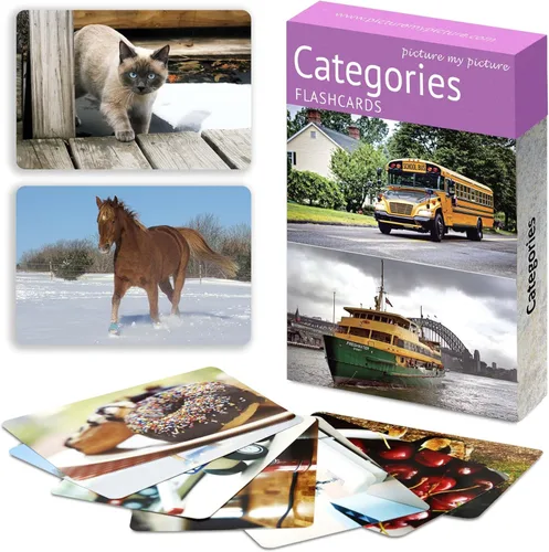 Miniatura 9 de Picture My Picture Go Togethers - Tarjetas didácticas - Materiales de terapia del habla, 40 tarjetas de fotos reales, 20 pares a juego, actividades