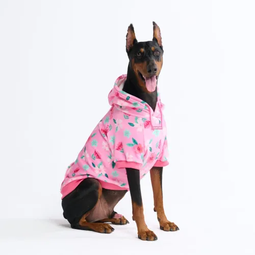 Miniatura 112 de Spark Paws Sudadera con capucha para perro, suéter de primera calidad para perros pequeños, medianos y grandes Trajes cálidos para bulldogs