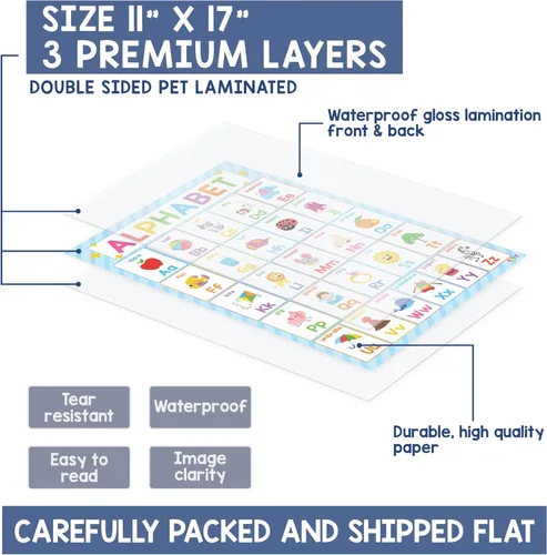 Miniatura 6 de BEAWART 18 Pósteres educativos laminados para niños pequeños, pósteres preescolares para el aula, decoración mural de jardín de infantes