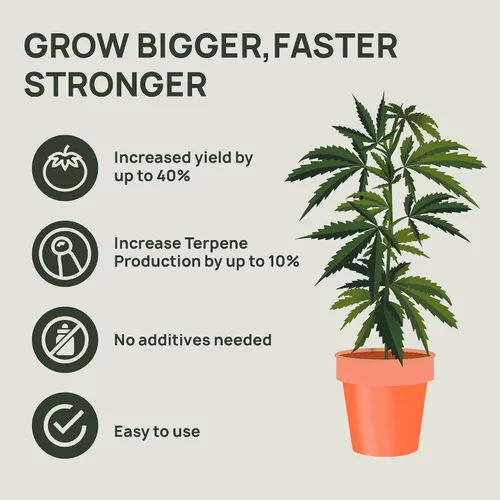 Miniatura 6 de Kit Combo Inicial de Fertilizante Strive - Nutrientes Hidropónicos Generales para Vegetales + Floración - Alimento para Plantas de Cultivo