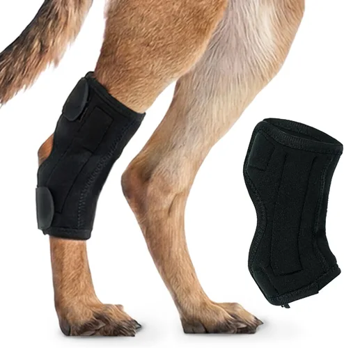 Rodillera para perro para soporte de pierna trasera, soporte ajustable de compresión para piernas traseras débiles, desgarro de ACL y molestias en