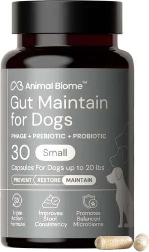 Miniatura 13 de AnimalBiome KittyBiome - Probióticos para gatos con S Boulardii (30 cápsulas) KittyBiome - Mantenimiento intestinal de triple acción fago