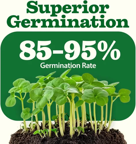 Miniatura 6 de 32 semillas de verduras y frutas tradicionales para plantar - Más de 16,000 semillas Bóveda de semillas de supervivencia sin OMG Alta
