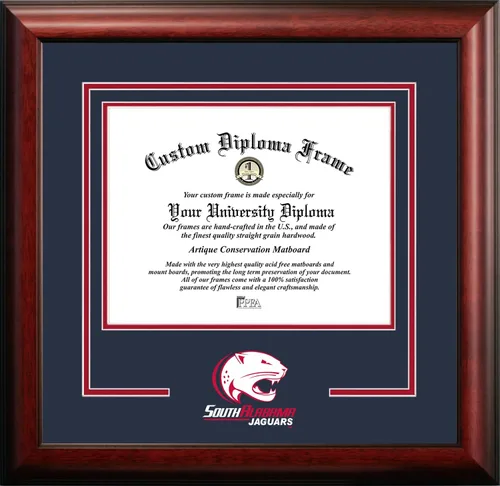 Miniatura 67 de Marco de Diploma Spirit NCAA