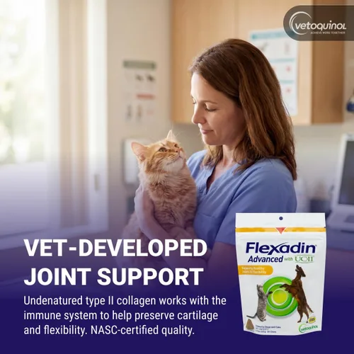 Miniatura 3 de Vetoquinol Flexadin - Suplemento avanzado de cadera y articulación con colágeno no desnaturalizado para perros, una masticable al día para el apoyo