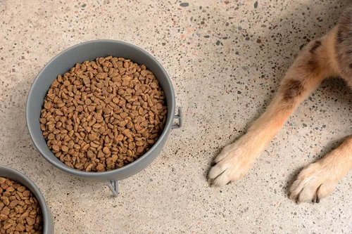 Miniatura 3 de Waggo Simple - Soporte sólido para cuenco y cuenco para perro, soporte de hierro individual con comedero de cerámica individual o cuenco de agua