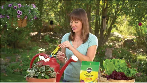 Miniatura 3 de Miracle-Gro - Regadera individual para alimento vegetal soluble para plantas, incluye 24 paquetes premedidos