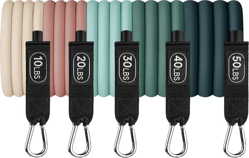Miniatura 6 de Retrospec Juego de Bandas de Resistencia para Entrenar - 5 Bandas Apilables, Asas y Anclaje de Puerta - Equipo de Fitness Portátil para Terapia