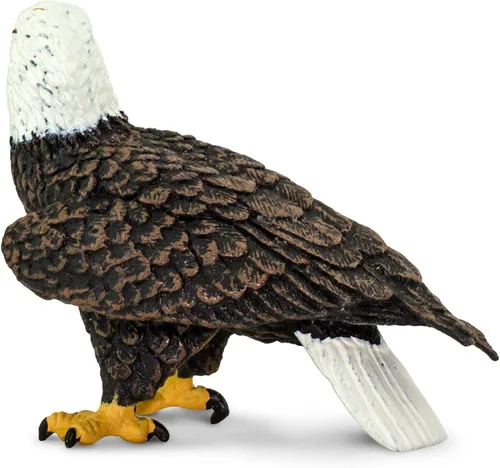 Miniatura 6 de Safari Ltd. Figura de águila calva - Figura de ave realista de 6 cm - Juguete educativo para niños, niñas y niños de 3 años en adelante