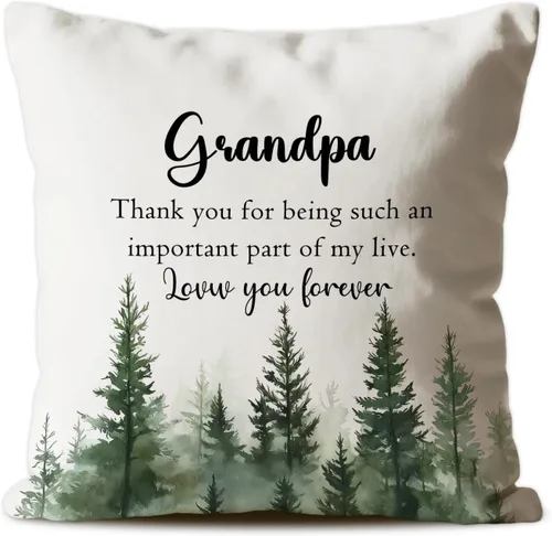 Miniatura 9 de Fundas de almohada acogedoras para papá, regalos de agradecimiento para papá y padre, almohada de cojín conmovedora para papá, 18 x 18 pulgadas