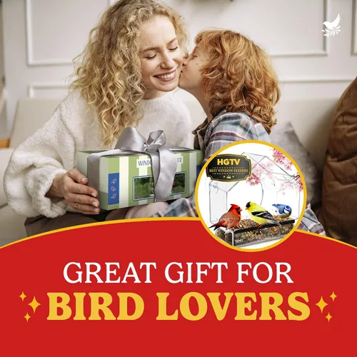 Miniatura 4 de Comederos de pájaros transparentes para ventanas con vista interior - Comedero de casa de pájaros con ventosas - Comedero de casa de pájaros