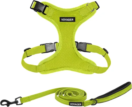 Miniatura 10 de Best Pet Supplies Voyager Step-in Lock - Arnés para mascotas con correa reflectante para mascotas, con mango de neopreno de 5 pies, soporta